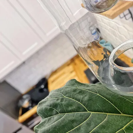 Polonia Art In The Center