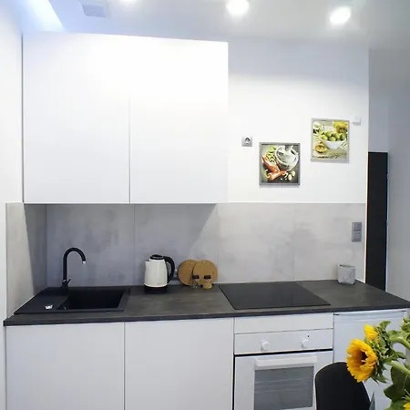 Apartament Polonia Art In The Center