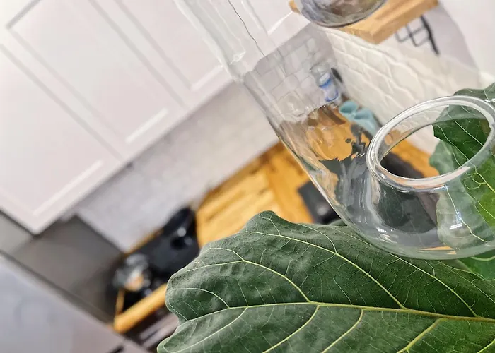 Polonia Art In The Center