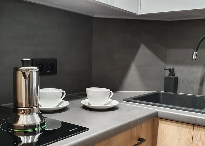 Polonia Art In The Center Kattowitz